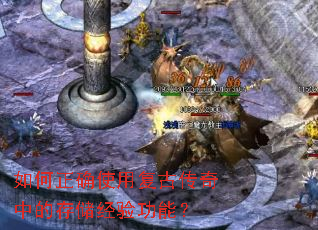 �����ȷʹ�ø��Ŵ����еĴ洢���鹦�ܣ�