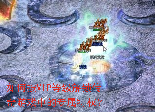 ��ΰ�VIP�ȼ�����������Ϸ�е�ר����Ȩ��