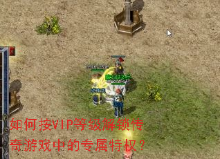 ��ΰ�VIP�ȼ�����������Ϸ�е�ר����Ȩ��