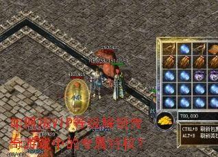 ��ΰ�VIP�ȼ�����������Ϸ�е�ר����Ȩ��