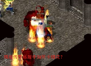 ���洫��˽������ο��̻���