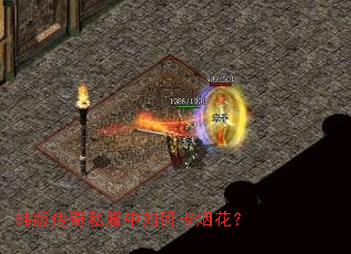 ���洫��˽������ο��̻���