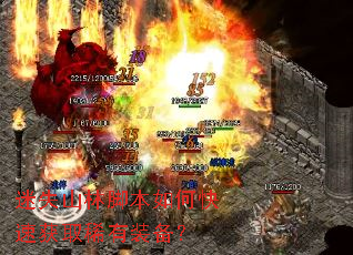 迷失山林脚本如何快速获取稀有装备? 迷失山林脚本如何快速获取稀有装备?