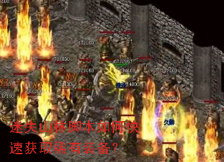 迷失山林脚本如何快速获取稀有装备? 迷失山林脚本如何快速获取稀有装备?