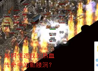 ��ο����ҵ���Ѫ�����е����ö���