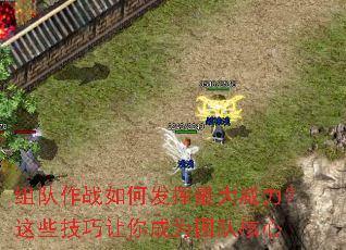 �����ս��η��������������Щ���������Ϊ�ŶӺ���