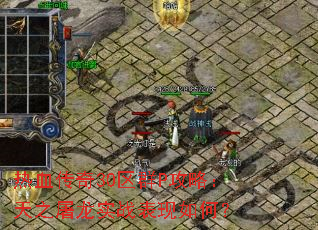 ��Ѫ����30��ȺP���ԣ���֮����ʵս������Σ�