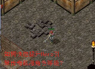 ��ο�������Hero���洫��˽����ɫ�ȼ���