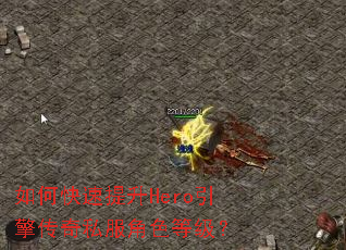 ��ο�������Hero���洫��˽����ɫ�ȼ���