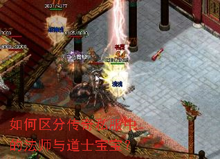 如何区分传奇私服中的法师与道士宝宝? 如何区分传奇私服中的法师与道士宝宝?