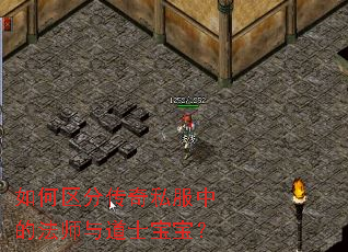 如何区分传奇私服中的法师与道士宝宝? 如何区分传奇私服中的法师与道士宝宝?