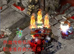 热血传奇私服中哪个职业生存能力最强? 热血传奇私服中哪个职业生存能力最强?