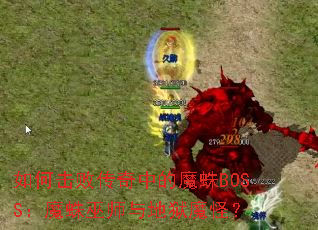 如何击败传奇中的魔蛛BOSS:魔蛛巫师与地狱魔怪? 如何击败传奇中的魔蛛BOSS:魔蛛巫师与地狱魔怪?