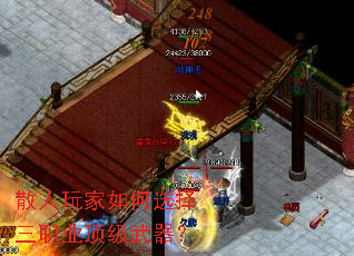 ɢ��������ѡ����ְҵ����������