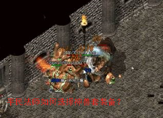 ƽ��ʦ���ѡ��������װ����