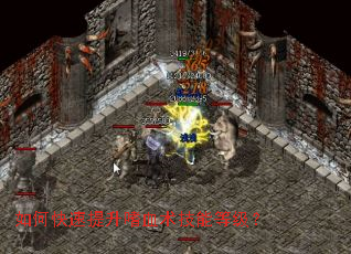 如何快速提升嗜血术技能等级? 如何快速提升嗜血术技能等级?