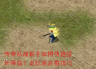 ����˽��������ο��������ȼ�������ұؿ�����