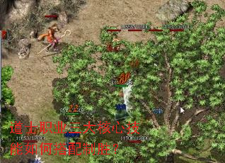 道士职业三大核心技能如何搭配制胜? 道士职业三大核心技能如何搭配制胜?