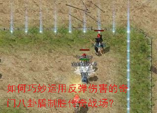 ����������÷����˺������Ű��Զ���ʤ����ս����