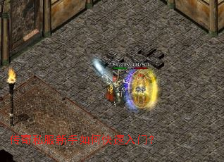 传奇私服新手如何快速入门? 传奇私服新手如何快速入门?