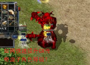 ��ο�������GM������ӽ�ɫ�ȼ���