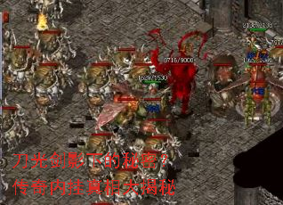 ���⽣Ӱ�µ����ܣ������ڹ���������