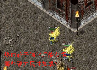 ��Ѫѥ��ǿ�����ܻ����Щǿ�����Լӳɣ�