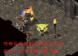 ����˽��΢����δ��㿪ʼ���裿����ר������ָ��