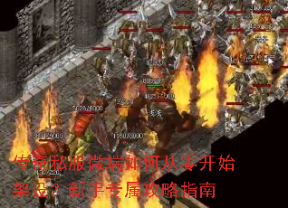 ����˽��΢����δ��㿪ʼ���裿����ר������ָ��