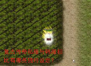 ���Ŵ���˽���뺫���������Щ�����趨��