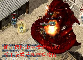 ��ο������ִ���˽�������ֱؿ��������鹥��