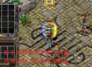 ������ο��ٳ弶����Ѫ����˽����������ȫ����