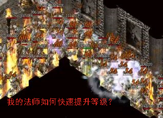 �ҵķ�ʦ��ο��������ȼ���