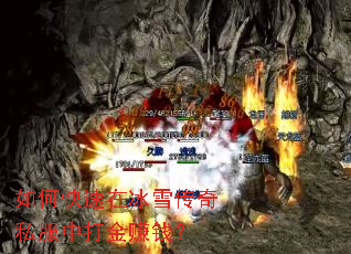 ��ο����ڱ�ѩ����˽���д��׬Ǯ��