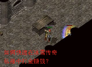 ��ο����ڱ�ѩ����˽���д��׬Ǯ��