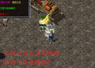 ��ο����ڱ�ѩ����˽���д��׬Ǯ��