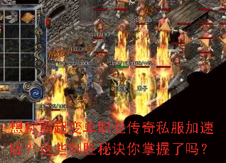 ��ưԳ��䵥ְҵ����˽�����ٰ棿��Щ��ʤ�ؾ�����������