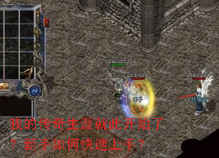 我的传奇生涯就此开始了?新手如何快速上手? 我的传奇生涯就此开始了?新手如何快速上手?