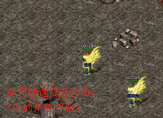 ��ο�����������sf�еĽ�ɫ�ȼ���