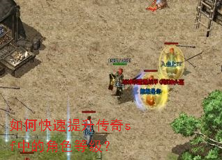 ��ο�����������sf�еĽ�ɫ�ȼ���