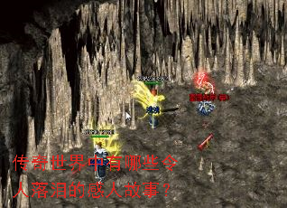 ��������������Щ��������ĸ��˹��£�