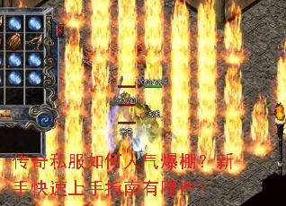 ����˽���������������ֿ�������ָ������Щ��