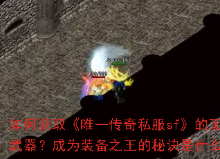 ��λ�ȡ��Ψһ����˽��sf���Ķ�����������Ϊװ��֮�����ؾ���ʲô��