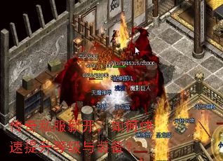 ����˽���¿�����ο��������ȼ���װ����