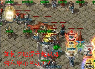 ��ο���������������˽����ɫս����