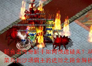 �ºϻ�����������ο����ƹأ��Ӳ���ɳ�������Ľ���֮·ȫ����