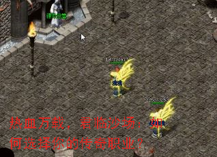 热血万载,君临沙场:如何选择你的传奇职业? 热血万载,君临沙场:如何选择你的传奇职业?