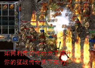 �������37����������������ս��������ʵ����