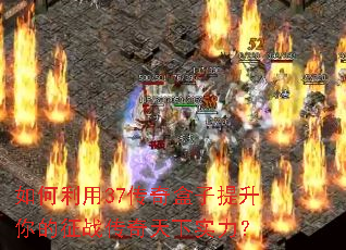 �������37����������������ս��������ʵ����