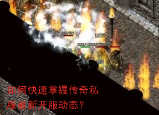 ��ο������մ���˽�����¿�����̬��